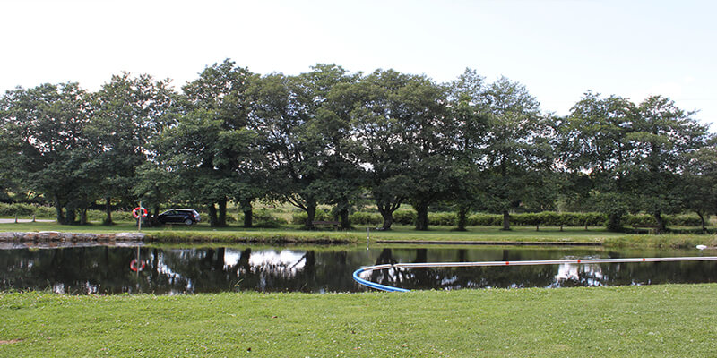 Area recreativa de Gontán