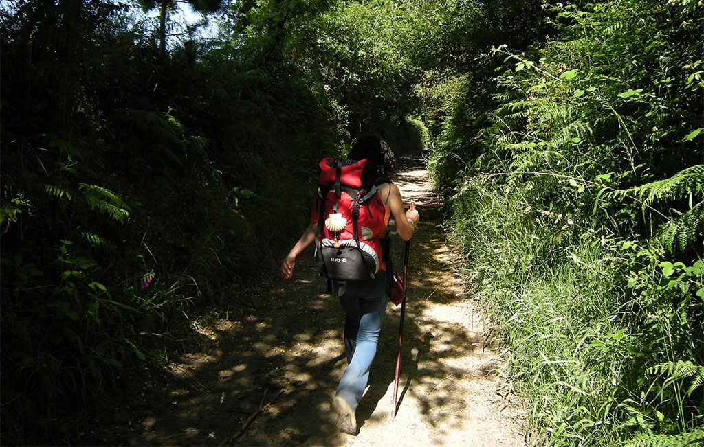 camino de santiago caminando