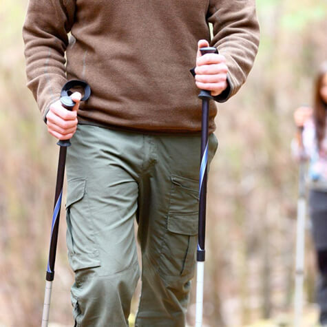 Shipment of Walking Sticks