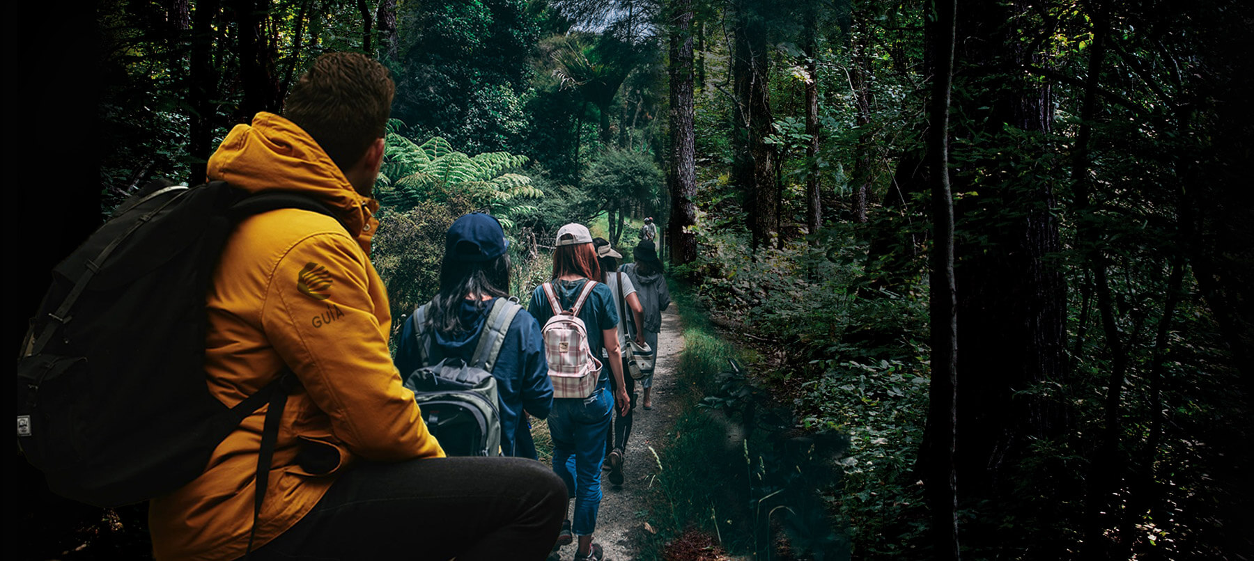 Camino Francés en grupo