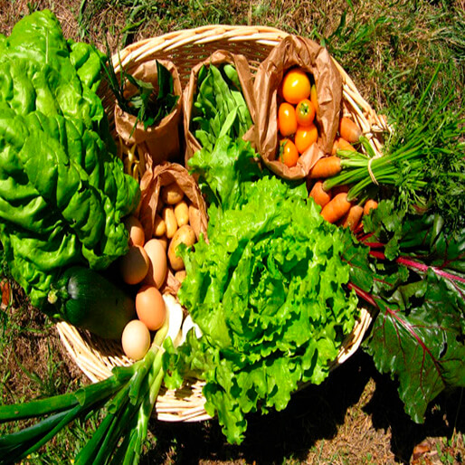 Fresh products in Santiago