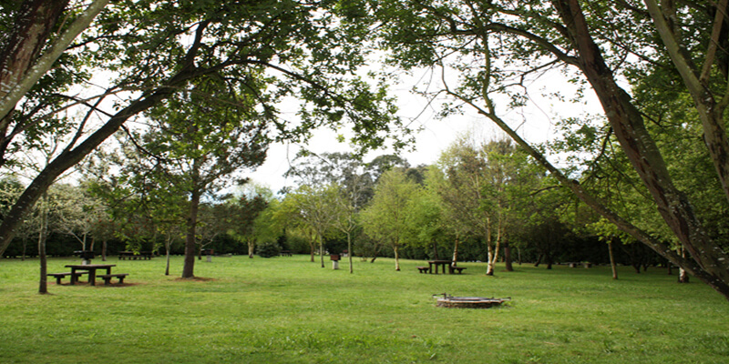 Área recreativa de As Pedreiras
