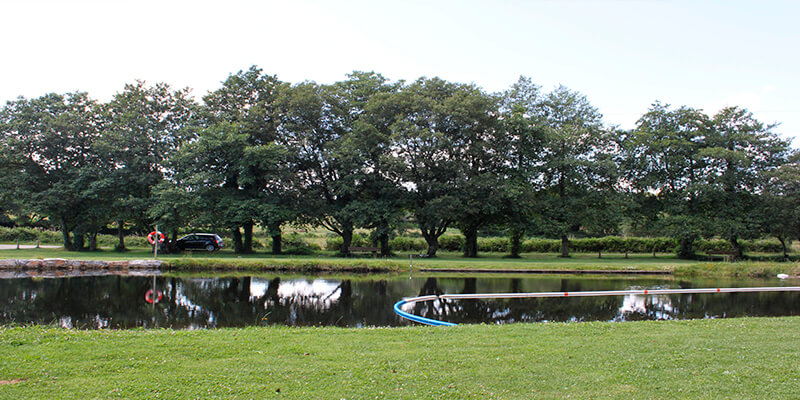 Área Recreativa de Gontán