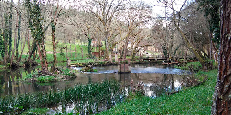 Área Recreativa de la Madalena