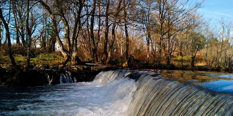 Área recreativa río Furelos