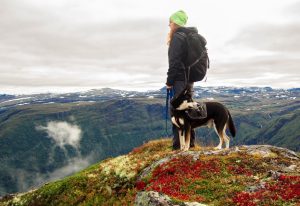 French Way with your dog