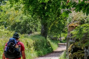 El Camino de Santiago Solo