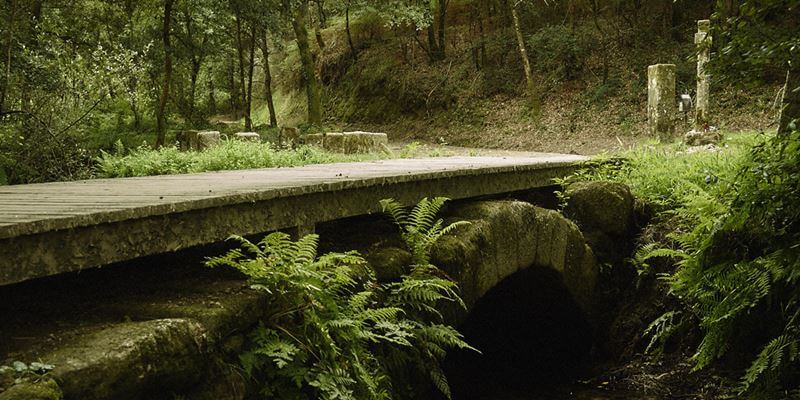 Puente de San Telmo