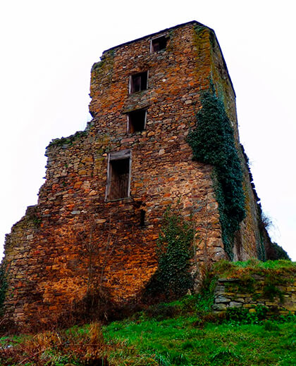 Castillo de la Fortaleza y Torre de Burón