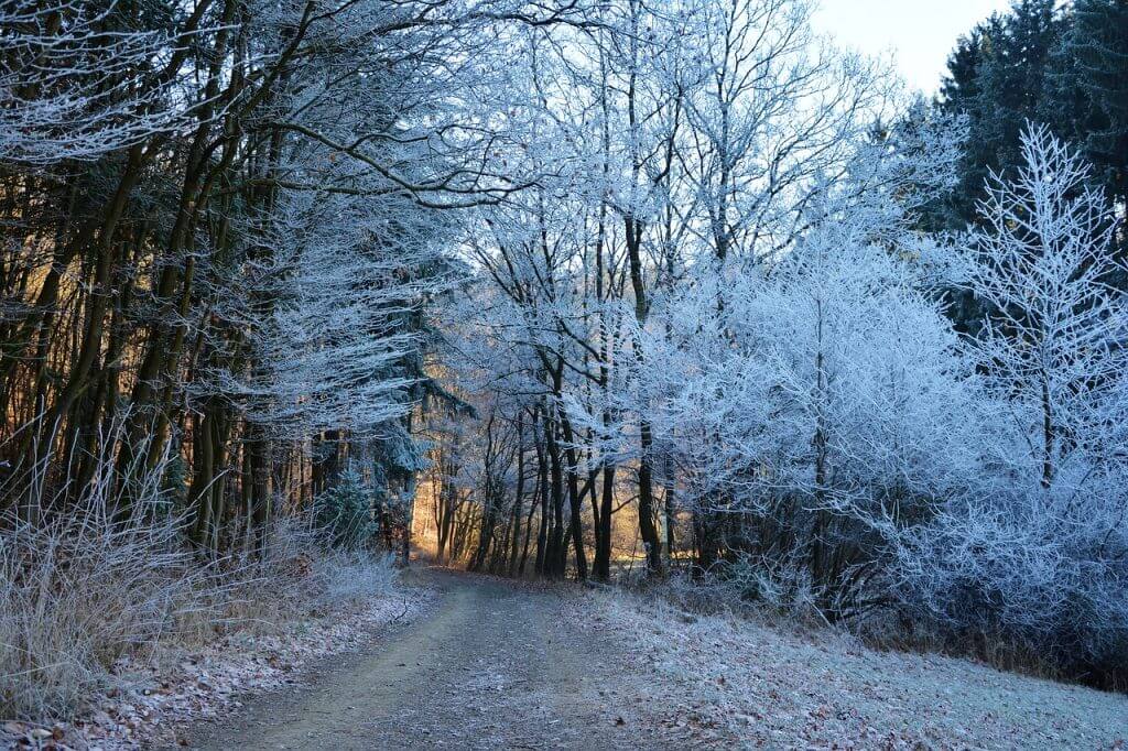 navidad en el camino de santiago