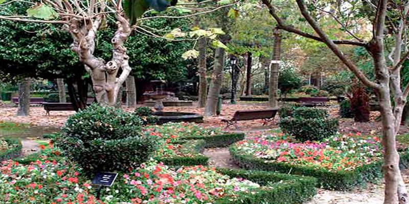 Resultado de imagen de jardÃn botánico caldas de reis