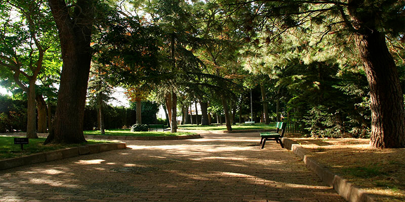 Jardines de la Mota