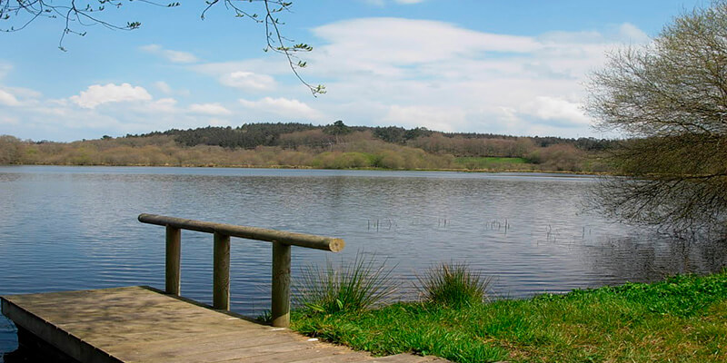 Lagoa de Sobrado