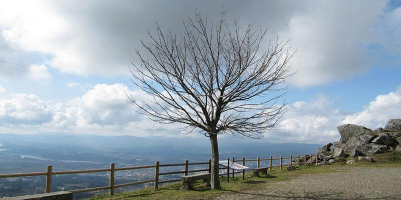 Mirador do Monte do Faro