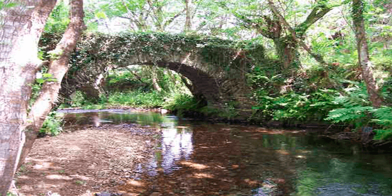Molinos y río Porcía