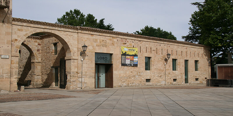 Museo Baltasar Lobo