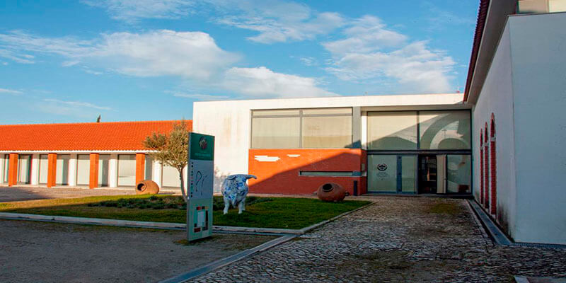 Museo Municipal Sebãstiao Mateus Arenque