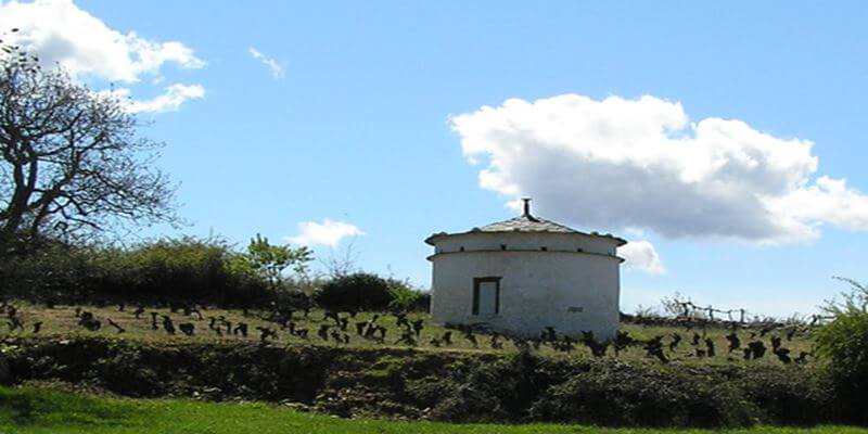 Palomares de Borrenes