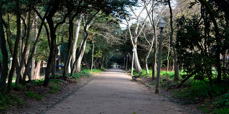 Parque de Santa Cruz