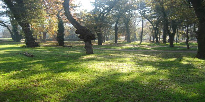 Parque Jardín Botánico y Carballeira