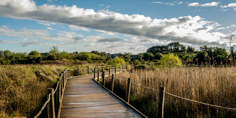 Parque Natural de las Marismas de Santoña