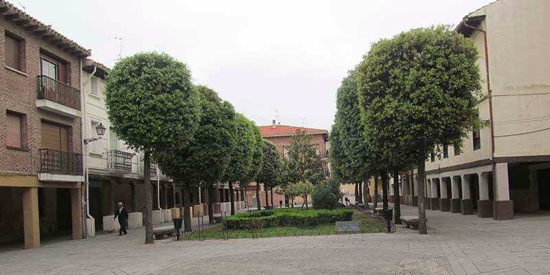 Plaza de la Alameda
