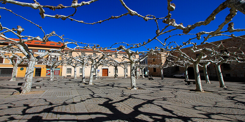 Plaza de Viriato