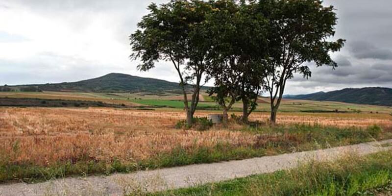 Vía verde del río Oja