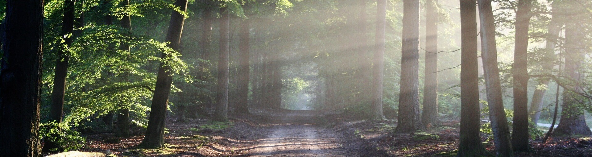 Servizi sul Cammino di Santiago