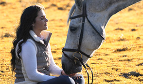 Camino de Santiago on Horseback