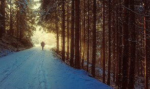 Camino de Santiago in Winter