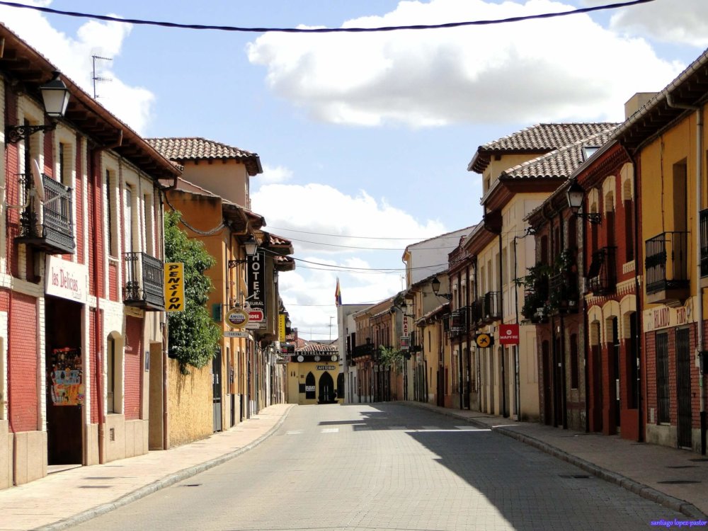 mansilla de las mulas