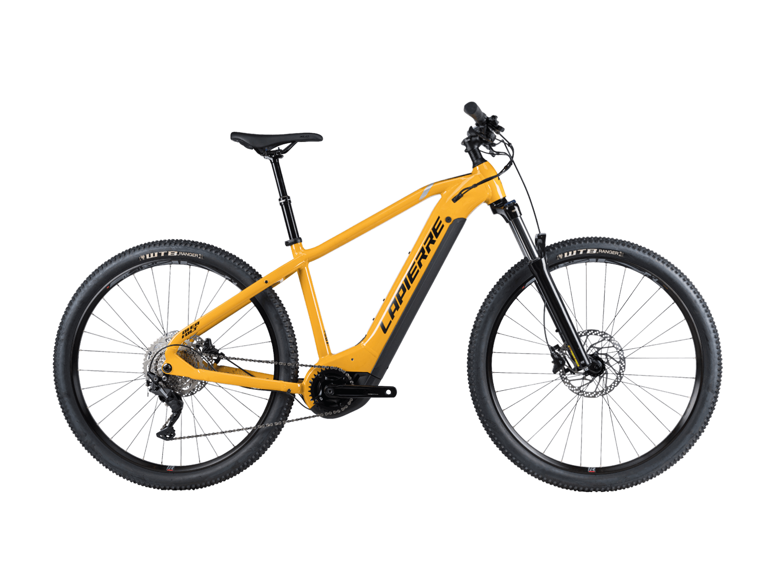 Electric bike Rental