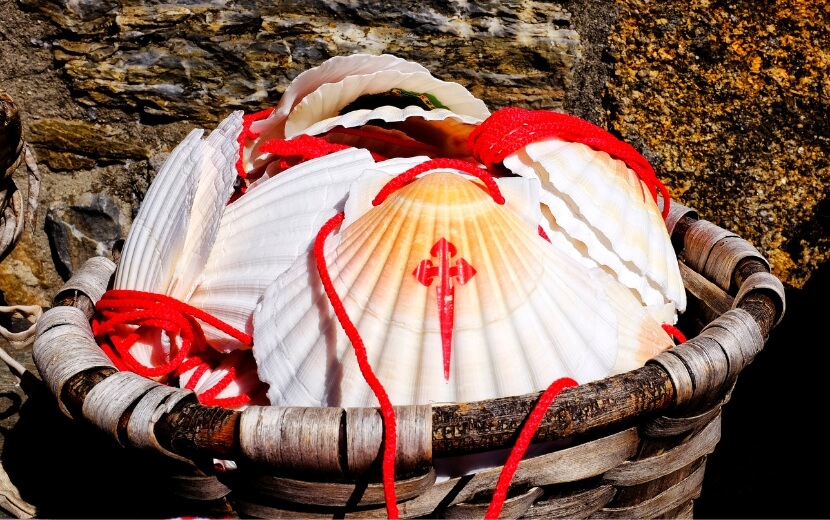 Pilgrim shell