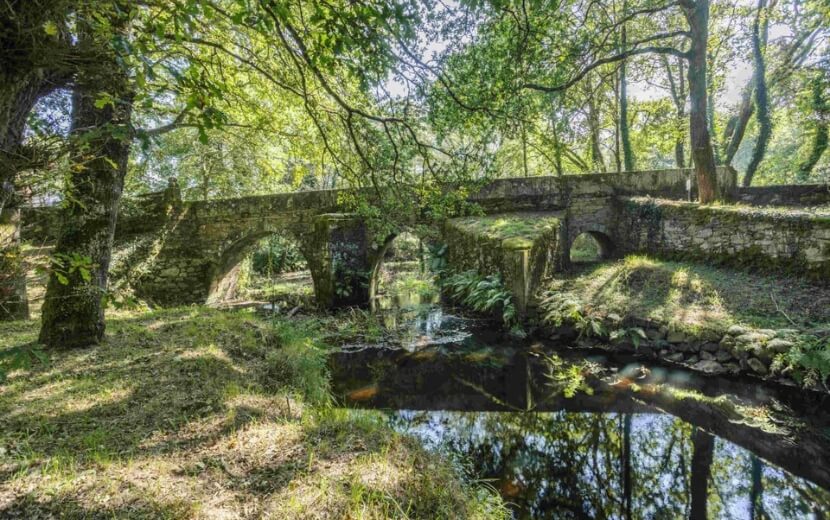 vilalba Santiago experience