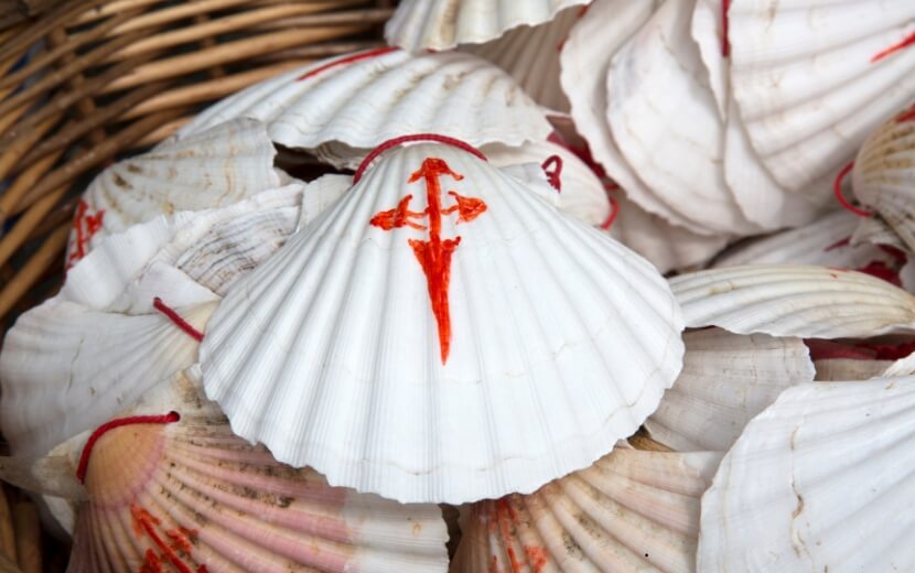 pilgrim shells
